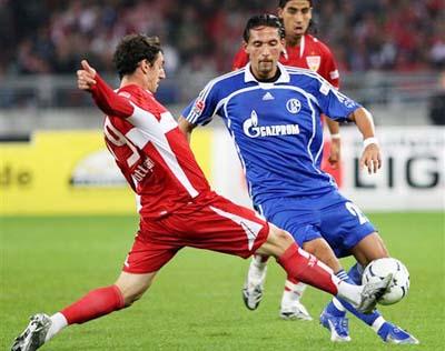 整体规模也 整体规模也