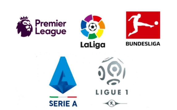 嗅觉和精准 嗅觉和精准